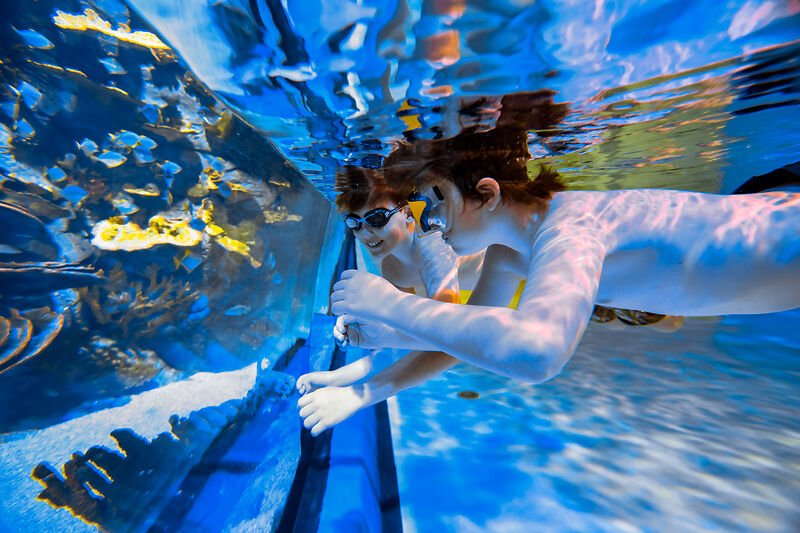 Zwei Kinder schwimmen unter Wasser im Aquariumtunnel und betrachten die Fische in der Alpentherme Gastein.