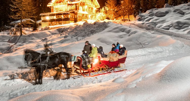 culinary winter journey