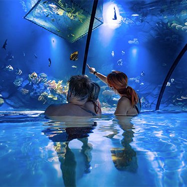 eine Familie bestaunt die Fische im Swimm-in Meerwasser-Aquarium Montequarium der Alpentherme Gastein