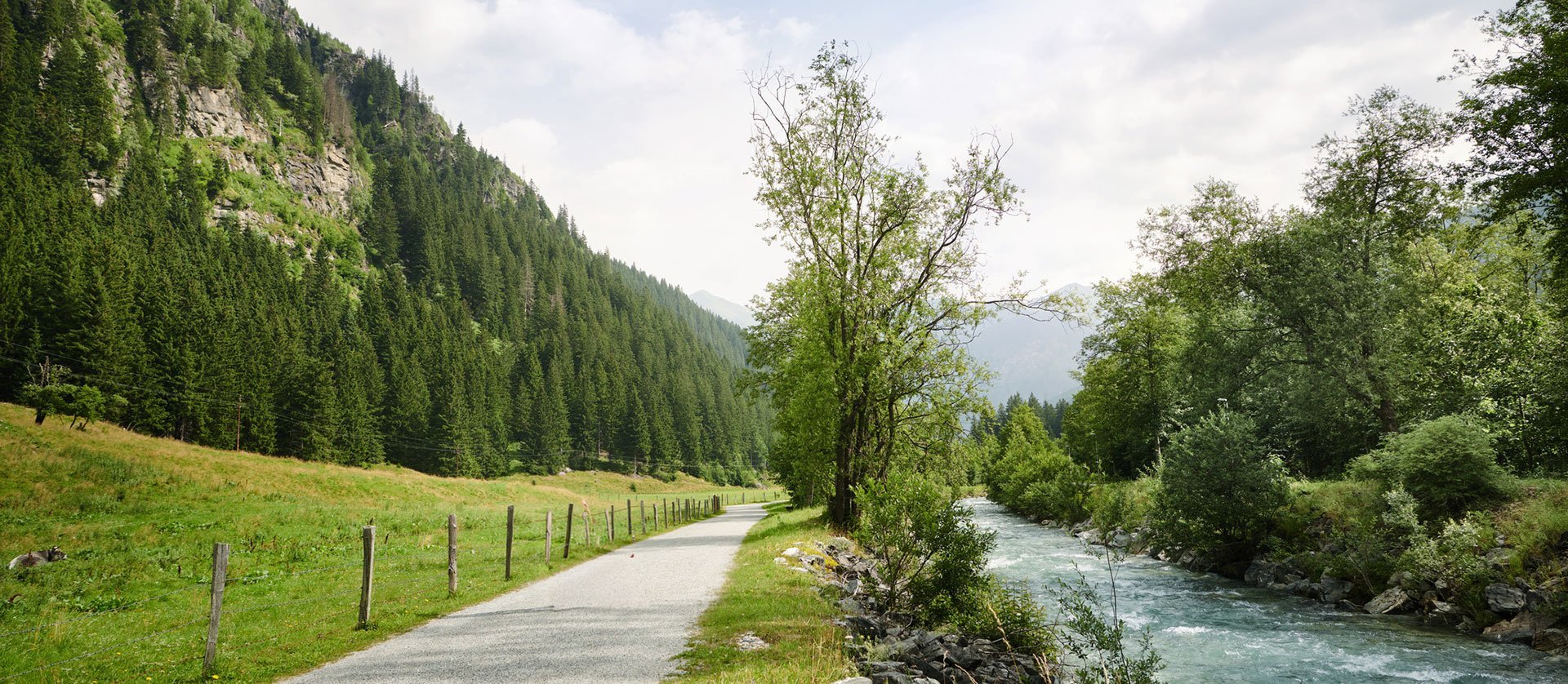 Spazierweg entlang einer Promenade in Gastein: Ein gepflasterter Weg verläuft neben einem klaren Gebirgsbach, gesäumt von Bäumen und grünen Hängen vor alpiner Kulisse.
