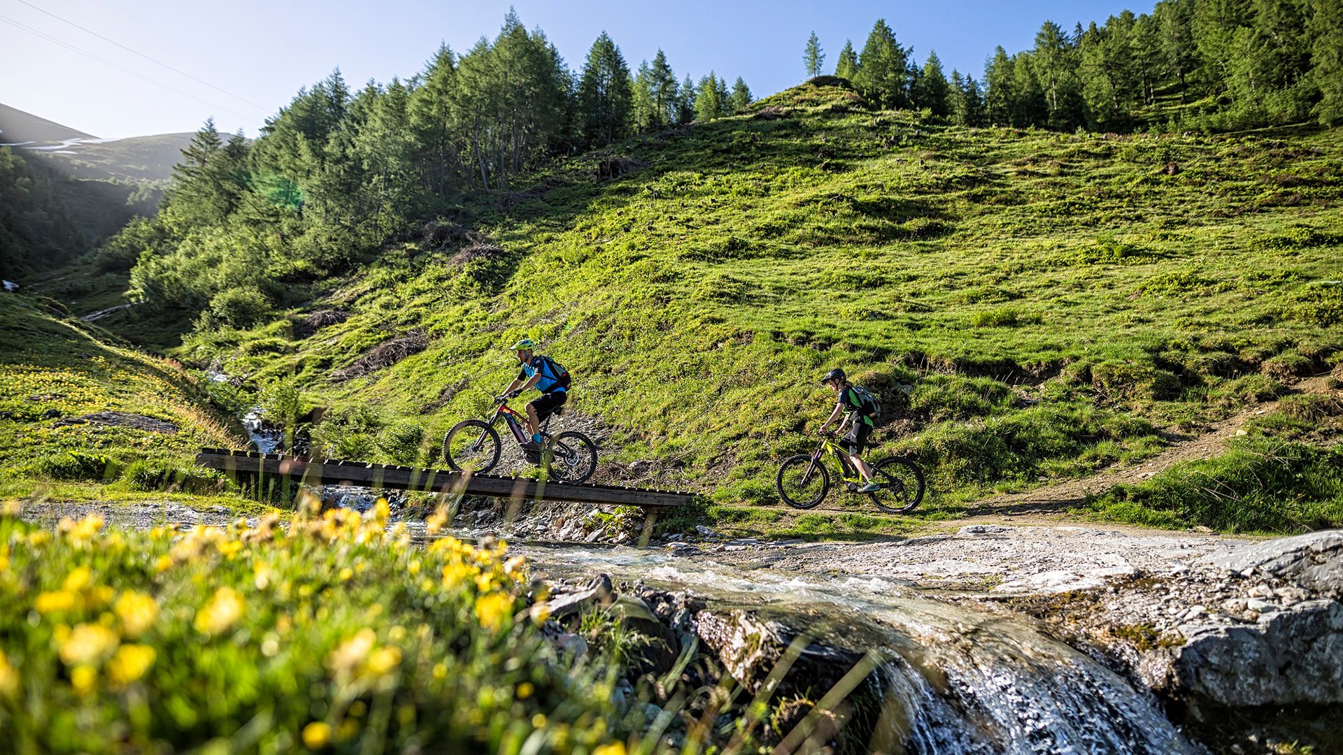 Eine Person fährt mit dem Mountainbike auf einem schmalen Trail durch eine grüne, blühende Berglandschaft; im Vordergrund sind gelbe Blumen, im Hintergrund bewaldete Hänge und Felsen zu sehen.