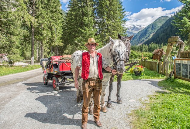 Fiaker mit seiner Pferdekutsche im Gasteinertal