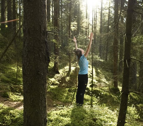 Eine Person wandert auf dem Lebenslinienpfad durch einen lichten Wald; Sonnenstrahlen fallen zwischen den Bäumen auf den moosbewachsenen Boden und schaffen eine ruhige, naturnahe Stimmung.