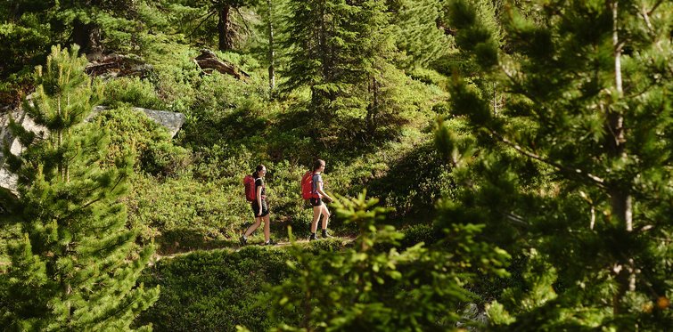 Zwei Wanderinnen mit roten Rucksäcken auf schmalem Bergpfad durch dichten Zirben- und Nadelwald am Graukogel.