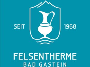 FT logo_4c-CMYK_seit1968