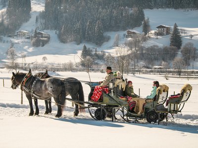 Pferdeschlitten Torbauer