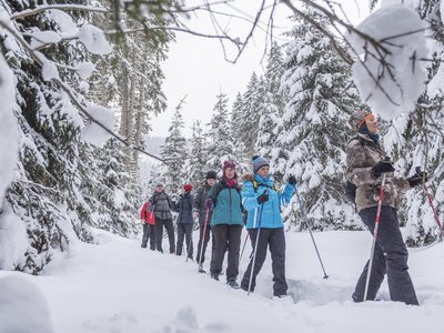 Schneeschuhwanderung3