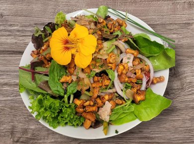 fdaf6606-6f07-4890-8736-8a2696f3ccc8