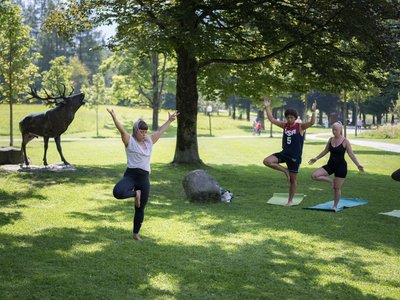 Yoga im Park