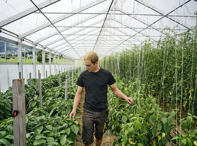 SAM_Magazin_223_Hintermann 33