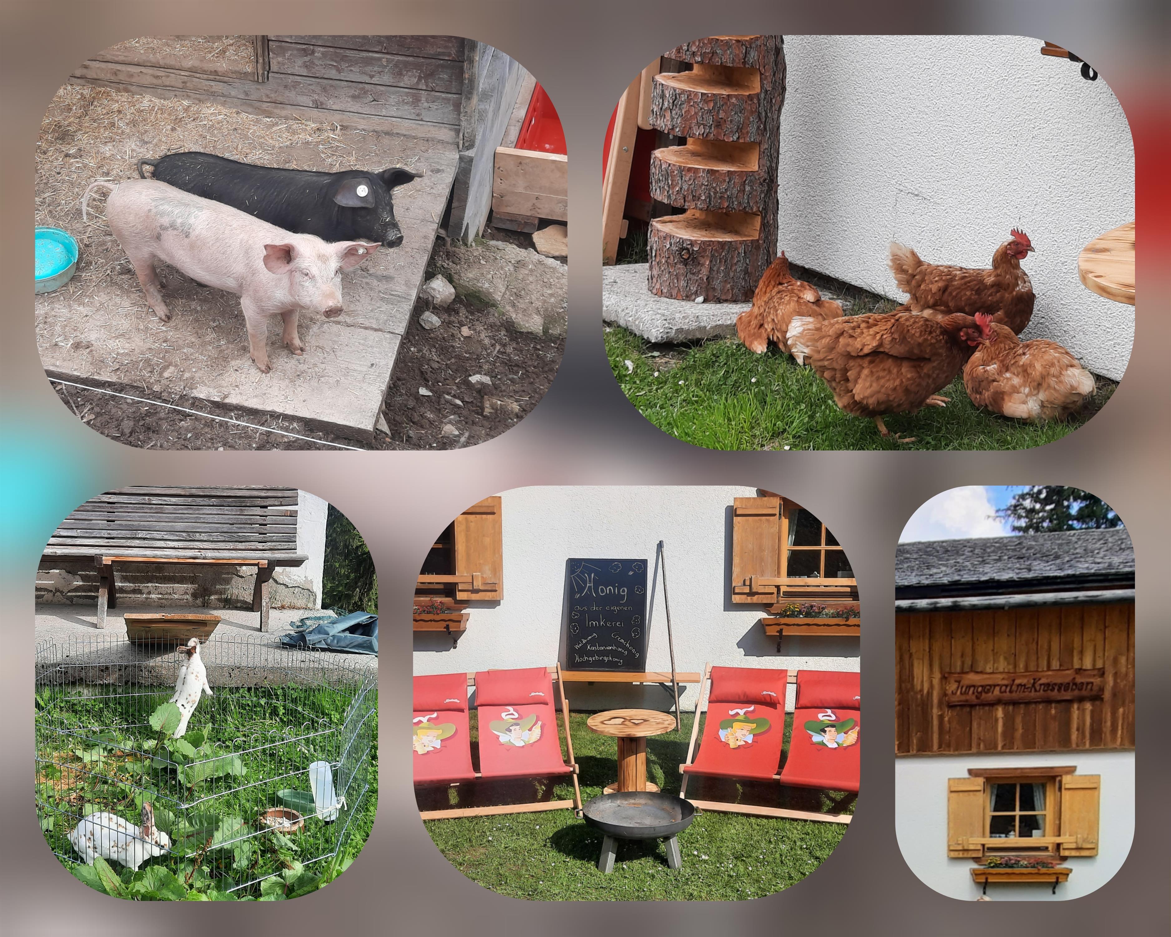 FotoGrid_20230606_195626156