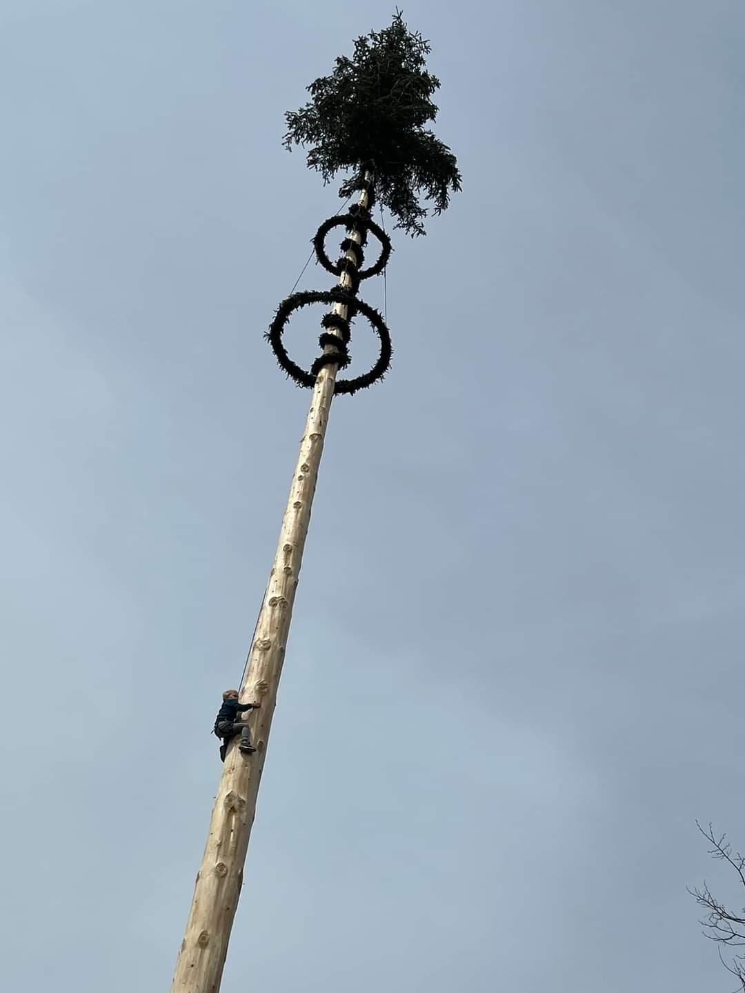 Maibaum Dorfgastein